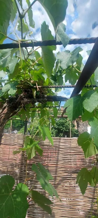 Linda Lejlighed Tbilisi